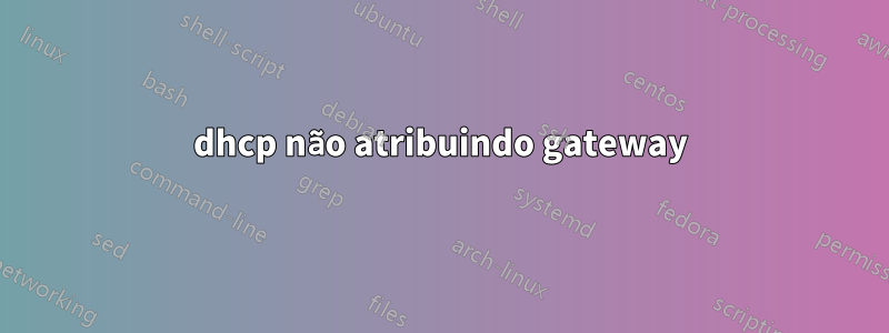 dhcp não atribuindo gateway