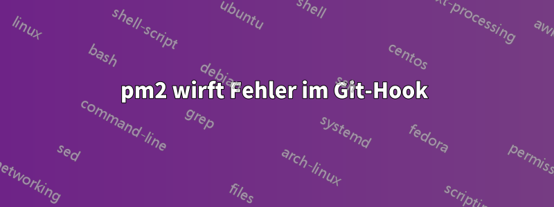 pm2 wirft Fehler im Git-Hook