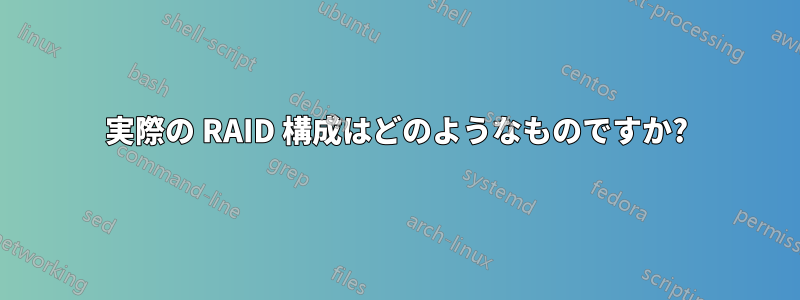 実際の RAID 構成はどのようなものですか?