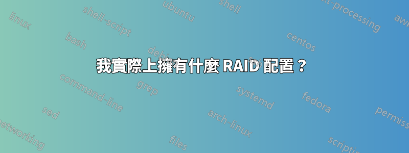 我實際上擁有什麼 RAID 配置？