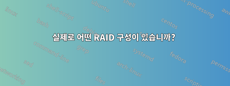 실제로 어떤 RAID 구성이 있습니까?