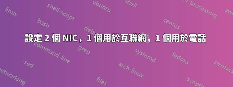 設定 2 個 NIC，1 個用於互聯網，1 個用於電話