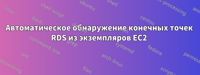 Автоматическое обнаружение конечных точек RDS из экземпляров EC2