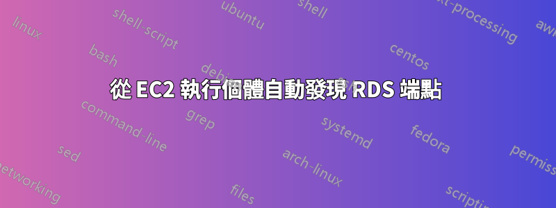 從 EC2 執行個體自動發現 RDS 端點