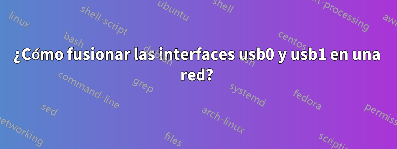 ¿Cómo fusionar las interfaces usb0 y usb1 en una red?