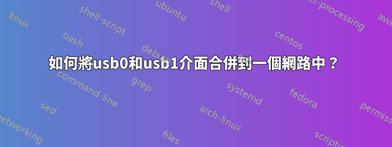 如何將usb0和usb1介面合併到一個網路中？