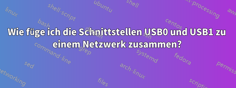 Wie füge ich die Schnittstellen USB0 und USB1 zu einem Netzwerk zusammen?