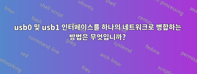 usb0 및 usb1 인터페이스를 하나의 네트워크로 병합하는 방법은 무엇입니까?