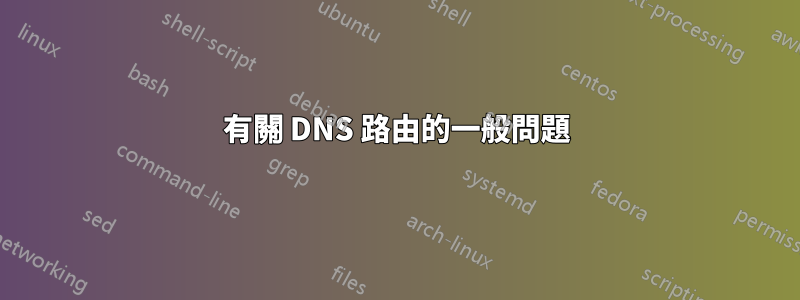 有關 DNS 路由的一般問題