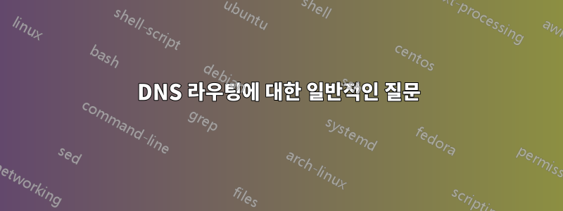 DNS 라우팅에 대한 일반적인 질문