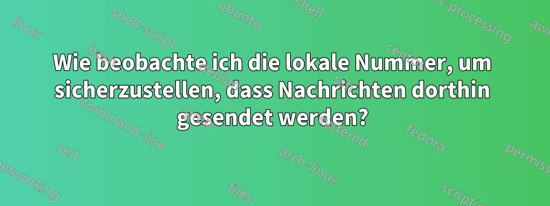 Wie beobachte ich die lokale Nummer, um sicherzustellen, dass Nachrichten dorthin gesendet werden?