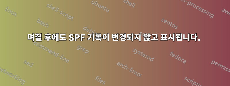 며칠 후에도 SPF 기록이 변경되지 않고 표시됩니다.