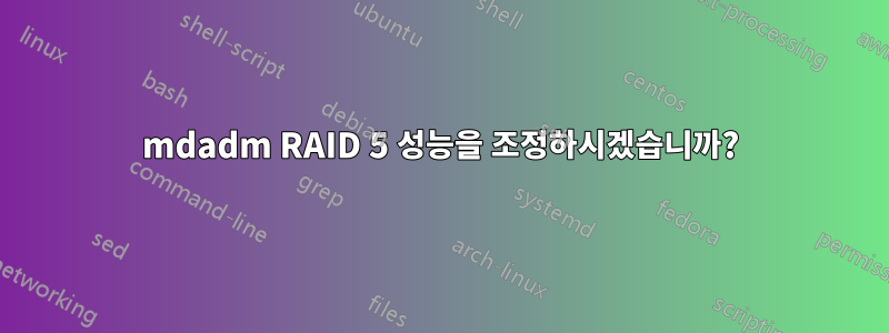 mdadm RAID 5 성능을 조정하시겠습니까?