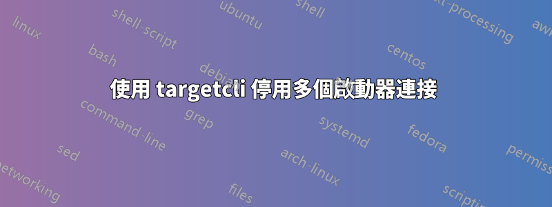 使用 targetcli 停用多個啟動器連接