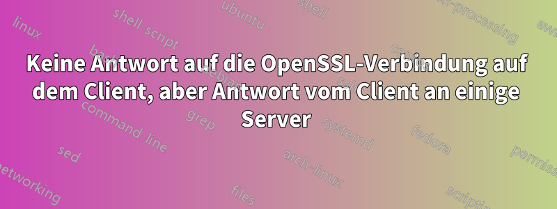 Keine Antwort auf die OpenSSL-Verbindung auf dem Client, aber Antwort vom Client an einige Server