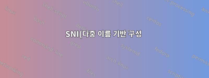 SNI(다중 이름 기반 구성)를 사용하는 가상 호스트와 SSL - 클라이언트 인증서 작업 필요