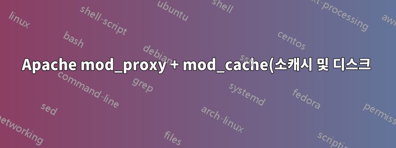 Apache mod_proxy + mod_cache(소캐시 및 디스크)
