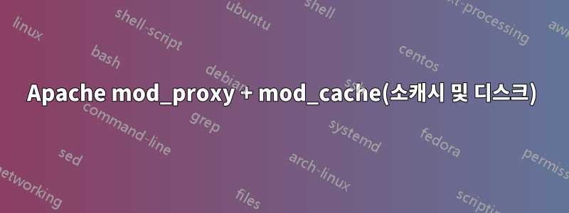 Apache mod_proxy + mod_cache(소캐시 및 디스크)