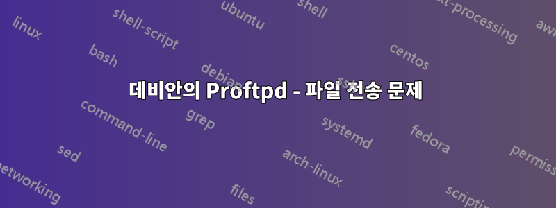 데비안의 Proftpd - 파일 전송 문제