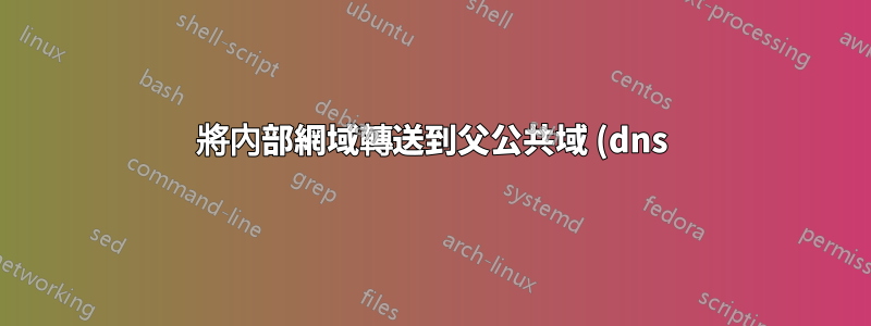 將內部網域轉送到父公共域 (dns)