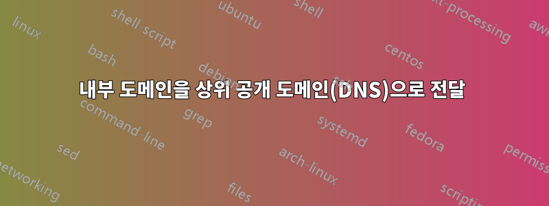 내부 도메인을 상위 공개 도메인(DNS)으로 전달