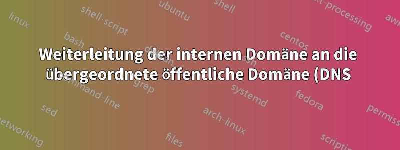 Weiterleitung der internen Domäne an die übergeordnete öffentliche Domäne (DNS)