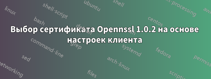 Выбор сертификата Opennssl 1.0.2 на основе настроек клиента