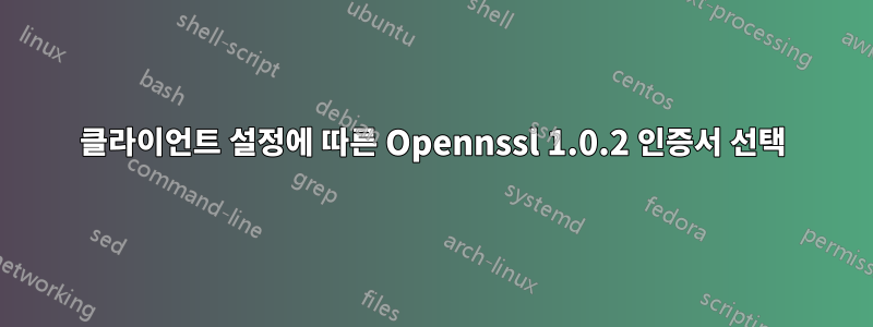 클라이언트 설정에 따른 Opennssl 1.0.2 인증서 선택