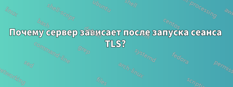 Почему сервер зависает после запуска сеанса TLS?