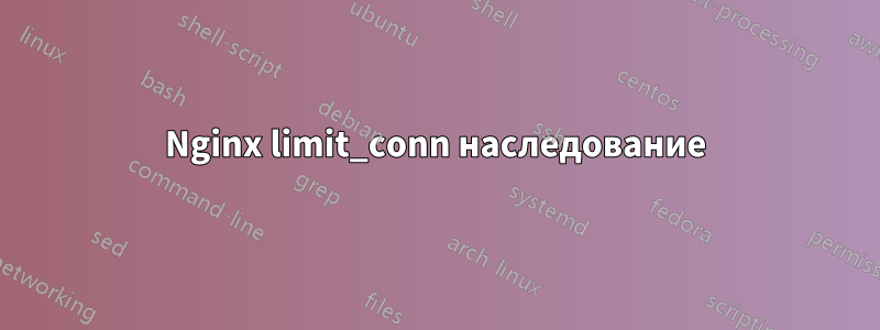 Nginx limit_conn наследование