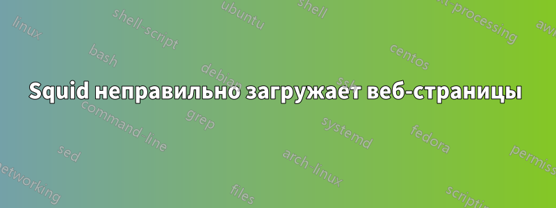 Squid неправильно загружает веб-страницы