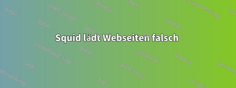 Squid lädt Webseiten falsch