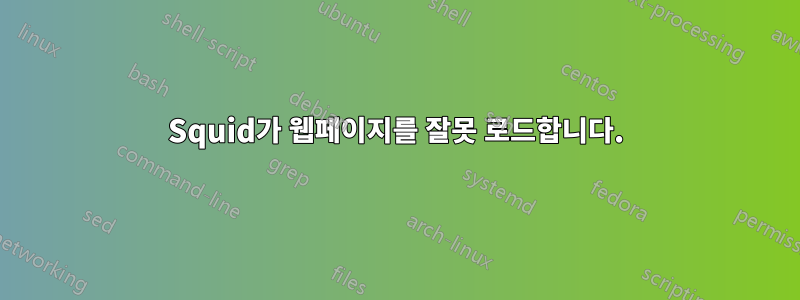 Squid가 웹페이지를 잘못 로드합니다.