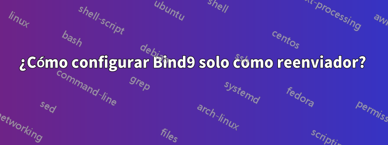 ¿Cómo configurar Bind9 solo como reenviador?