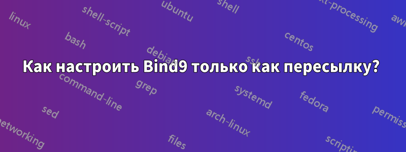 Как настроить Bind9 только как пересылку?