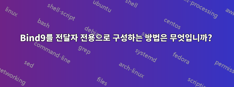 Bind9를 전달자 전용으로 구성하는 방법은 무엇입니까?