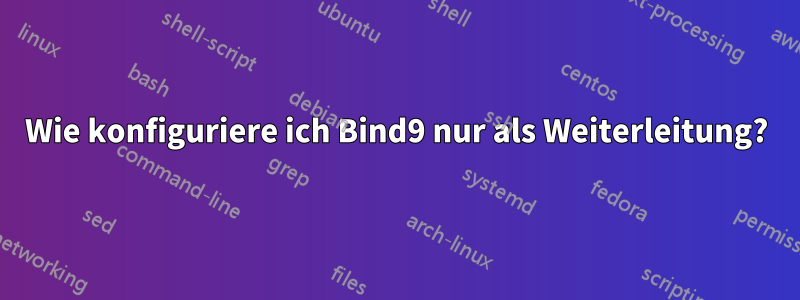 Wie konfiguriere ich Bind9 nur als Weiterleitung?