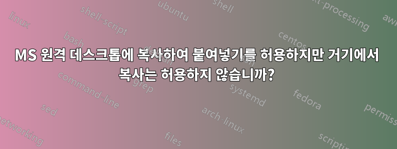 MS 원격 데스크톱에 복사하여 붙여넣기를 허용하지만 거기에서 복사는 허용하지 않습니까?