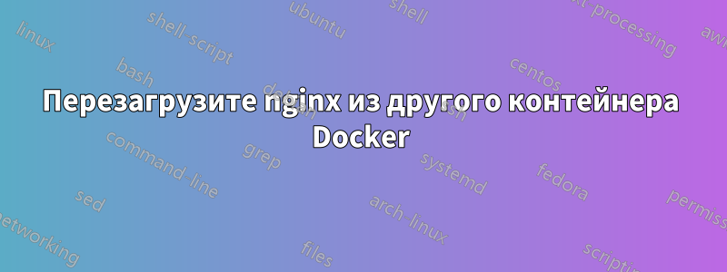 Перезагрузите nginx из другого контейнера Docker