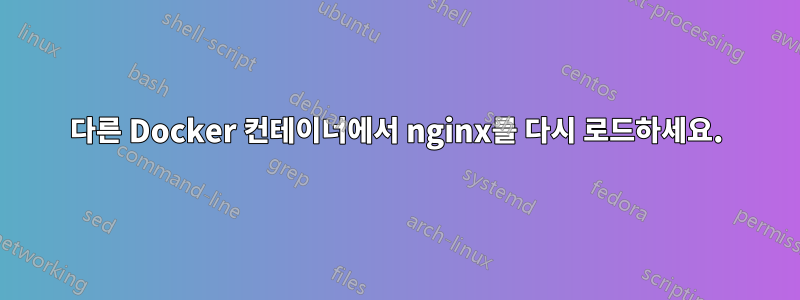 다른 Docker 컨테이너에서 nginx를 다시 로드하세요.