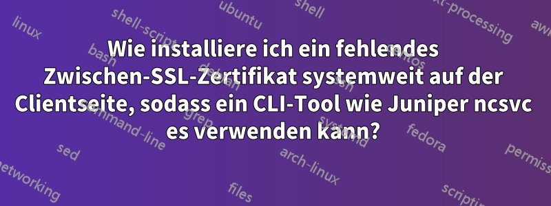 Wie installiere ich ein fehlendes Zwischen-SSL-Zertifikat systemweit auf der Clientseite, sodass ein CLI-Tool wie Juniper ncsvc es verwenden kann?