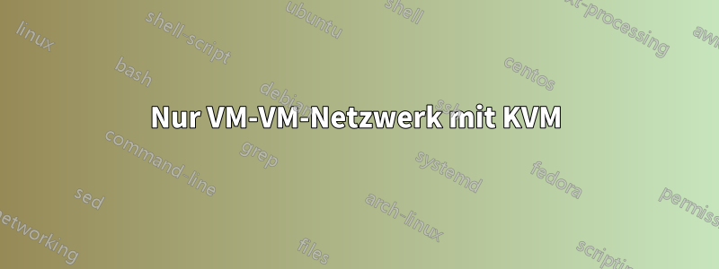 Nur VM-VM-Netzwerk mit KVM