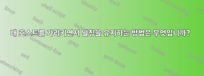 내 호스트를 가리키면서 별칭을 유지하는 방법은 무엇입니까? 