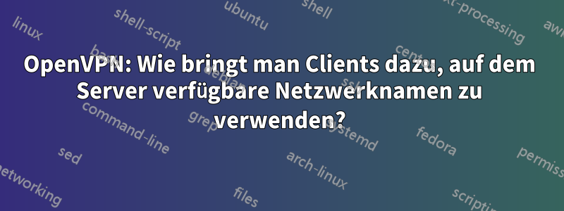 OpenVPN: Wie bringt man Clients dazu, auf dem Server verfügbare Netzwerknamen zu verwenden?