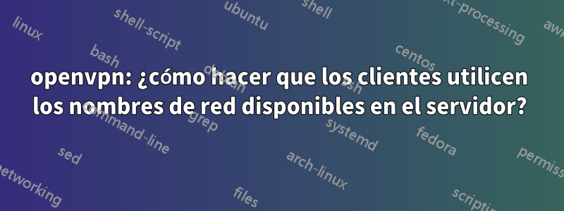 openvpn: ¿cómo hacer que los clientes utilicen los nombres de red disponibles en el servidor?