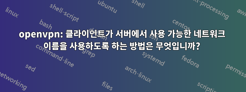 openvpn: 클라이언트가 서버에서 사용 가능한 네트워크 이름을 사용하도록 하는 방법은 무엇입니까?