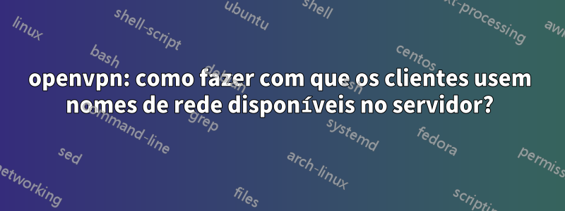 openvpn: como fazer com que os clientes usem nomes de rede disponíveis no servidor?