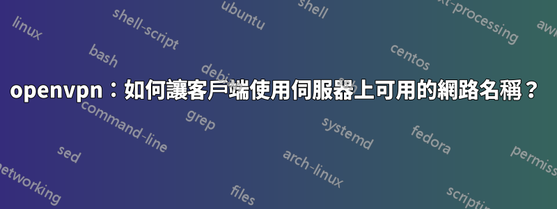 openvpn：如何讓客戶端使用伺服器上可用的網路名稱？