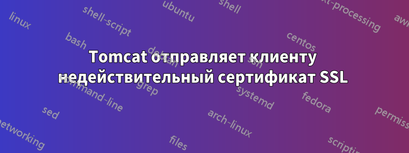 Tomcat отправляет клиенту недействительный сертификат SSL