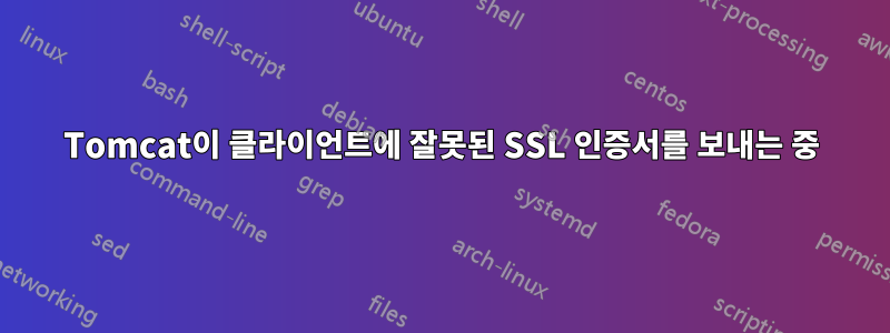 Tomcat이 클라이언트에 잘못된 SSL 인증서를 보내는 중